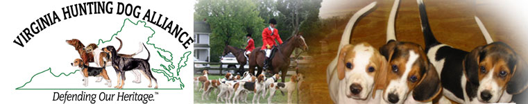 VHDA Virginia Hunting Dog Alliance